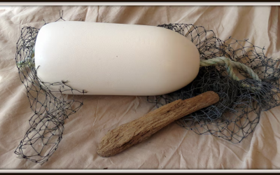 Buoy Fundraiser Now Available!